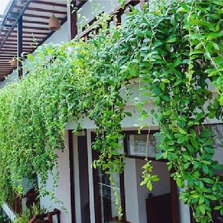 Riverside Plum Garden Villa هوي ان المظهر الخارجي الصورة