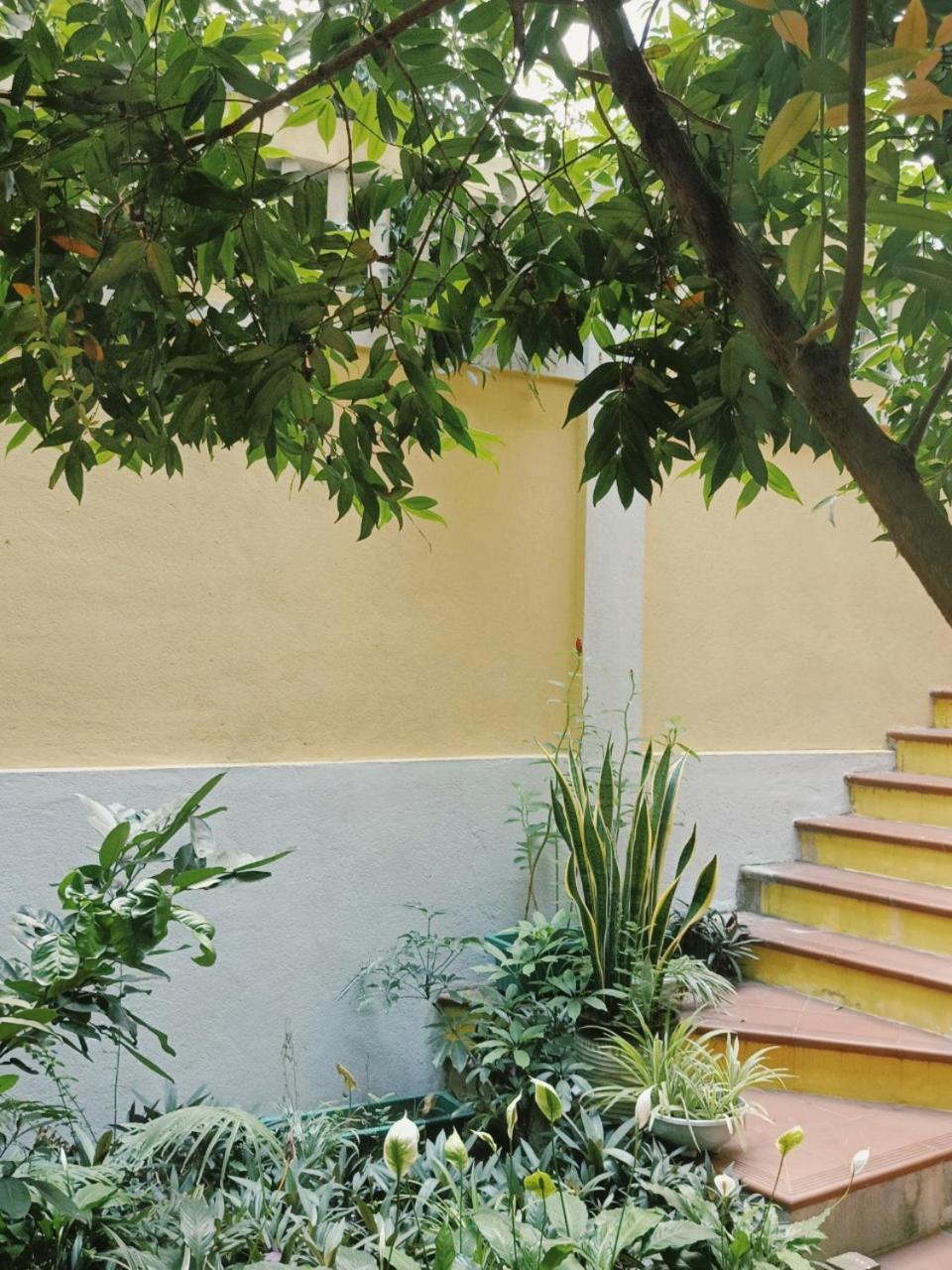 Riverside Plum Garden Villa هوي ان المظهر الخارجي الصورة