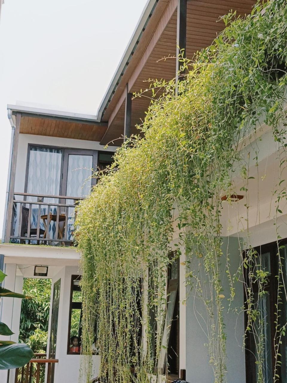 Riverside Plum Garden Villa هوي ان المظهر الخارجي الصورة