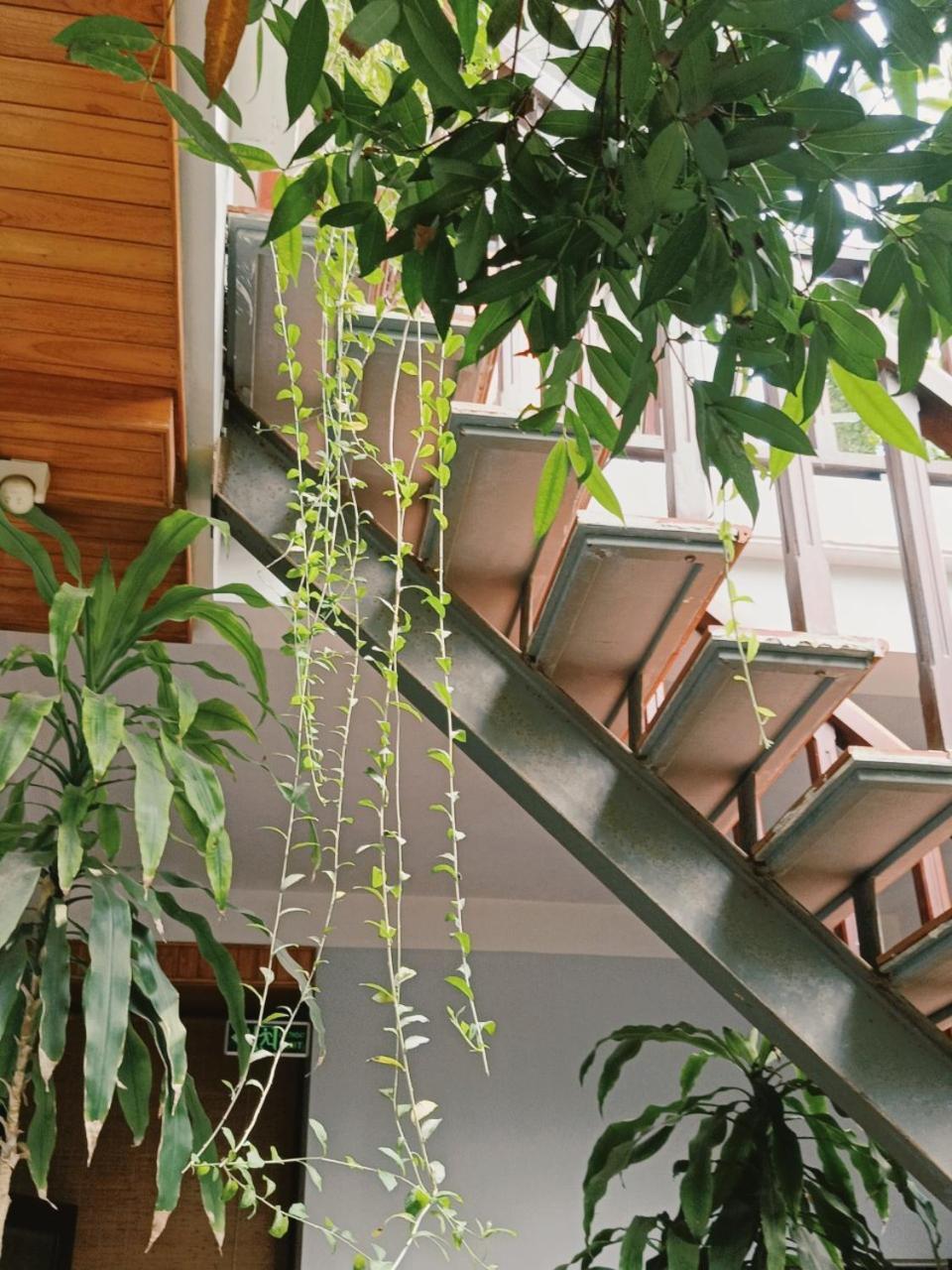 Riverside Plum Garden Villa هوي ان المظهر الخارجي الصورة