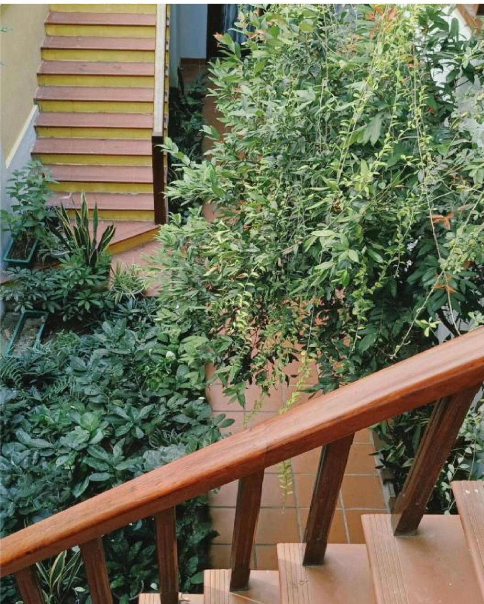 Riverside Plum Garden Villa هوي ان المظهر الخارجي الصورة