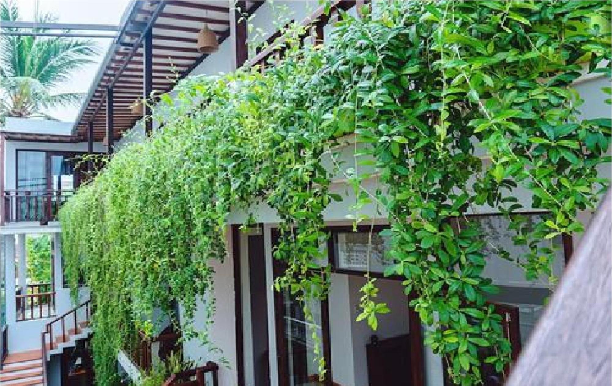 Riverside Plum Garden Villa هوي ان المظهر الخارجي الصورة